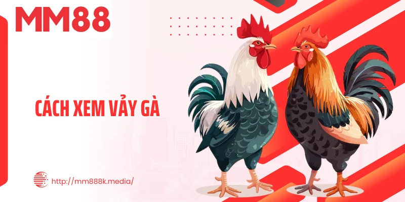 Cách Xem Vảy Gà - Bí Quyết Nhận Diện Chiến Kê Đá Hay